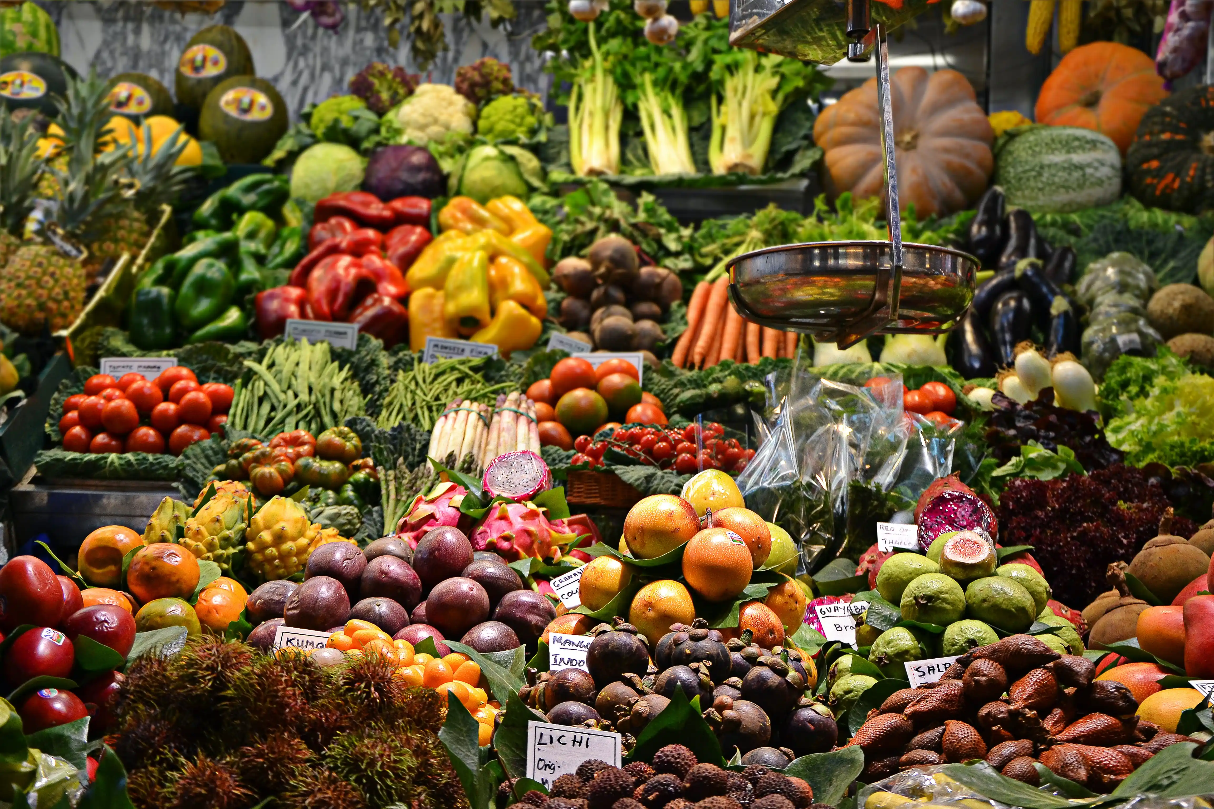 Étude de Marché